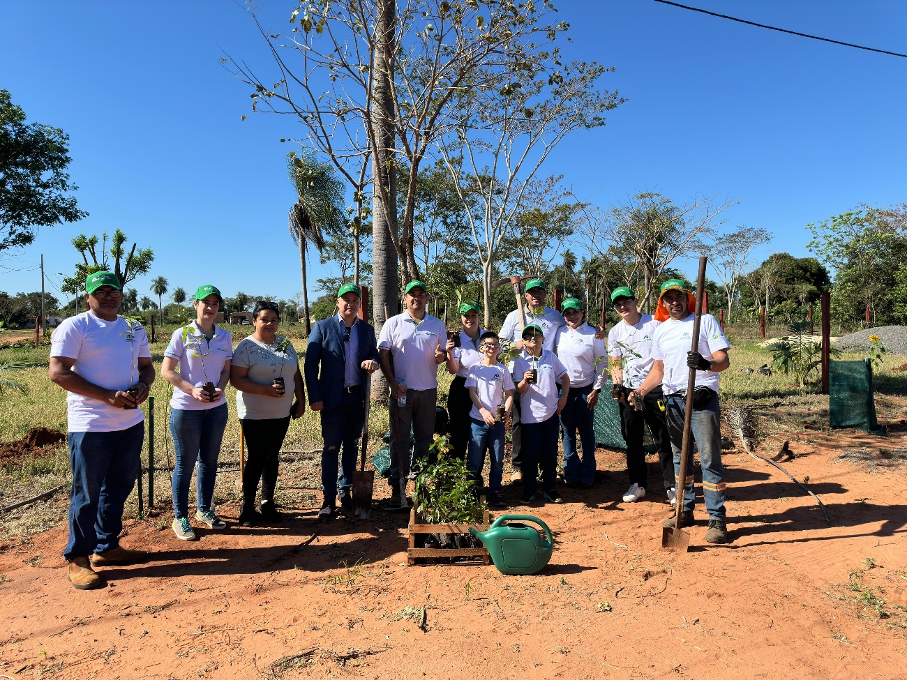 Socios de la cooperativa plantando árboles.